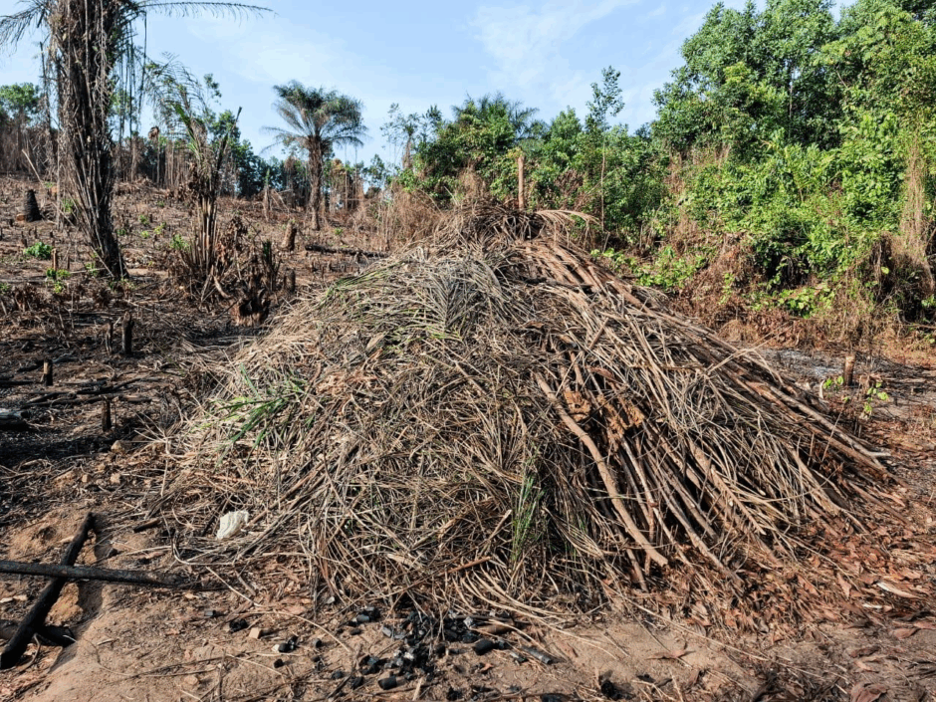 A charcoal oven in Bomi County, Liberia, built from mud and sticks, ready to be lit.