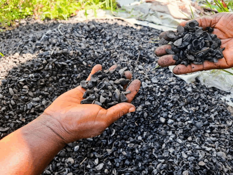 Charred palm kernel briquettes lie unprocessed after equipment failure ended a clean energy project in Liberia.
